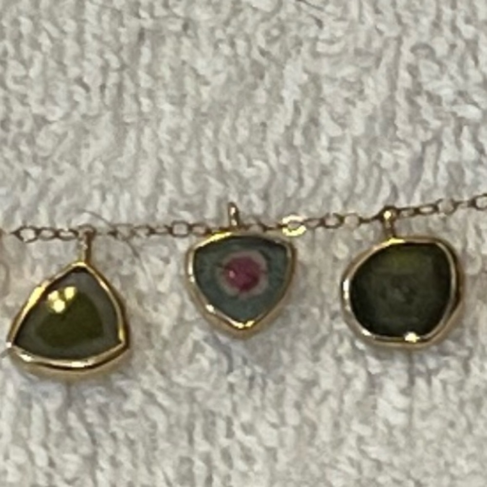 Jamie Joseph 14kt gold Water Melon Tourmaline Necklace